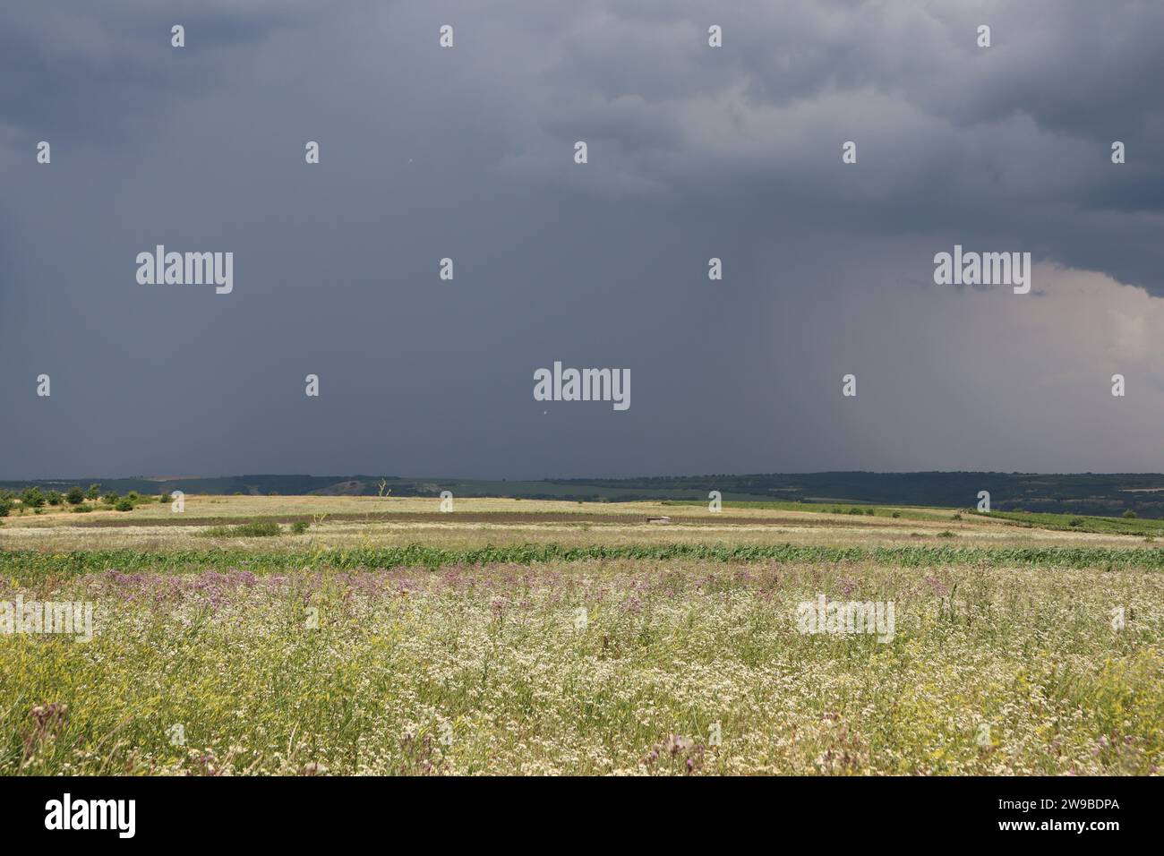 A dark storm cloud hangs far over the valley and heavy rain is falling