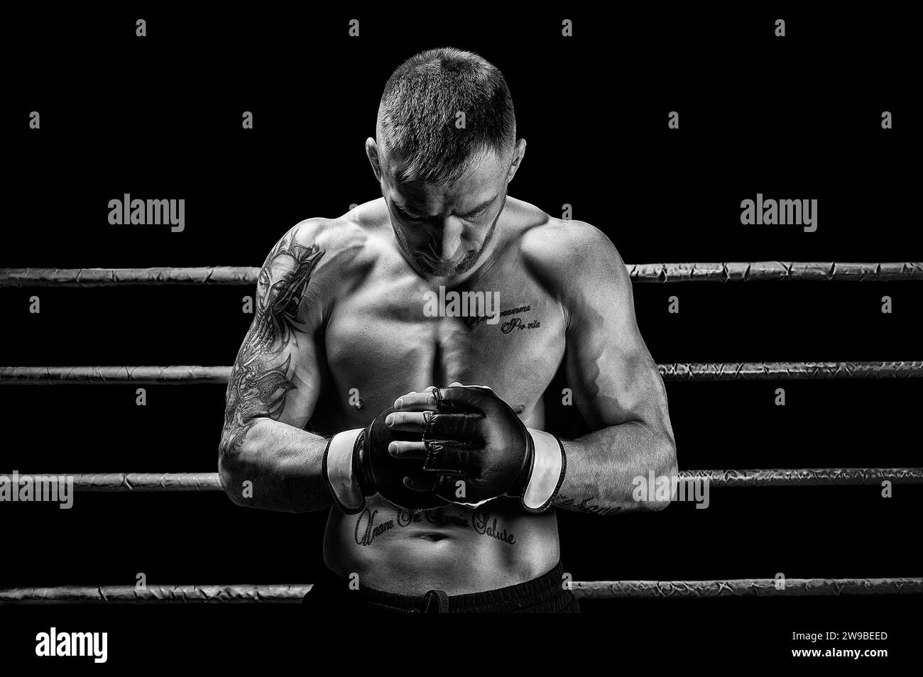 Mixed martial artist posing on a black background. Concept of mma, ufc