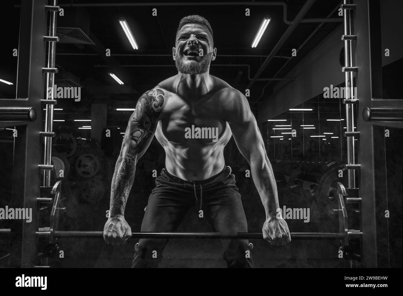 Portrait of an athlete performing a deadlift in the gym. Bodybuilding and fitness concept. Mixed media Stock Photo