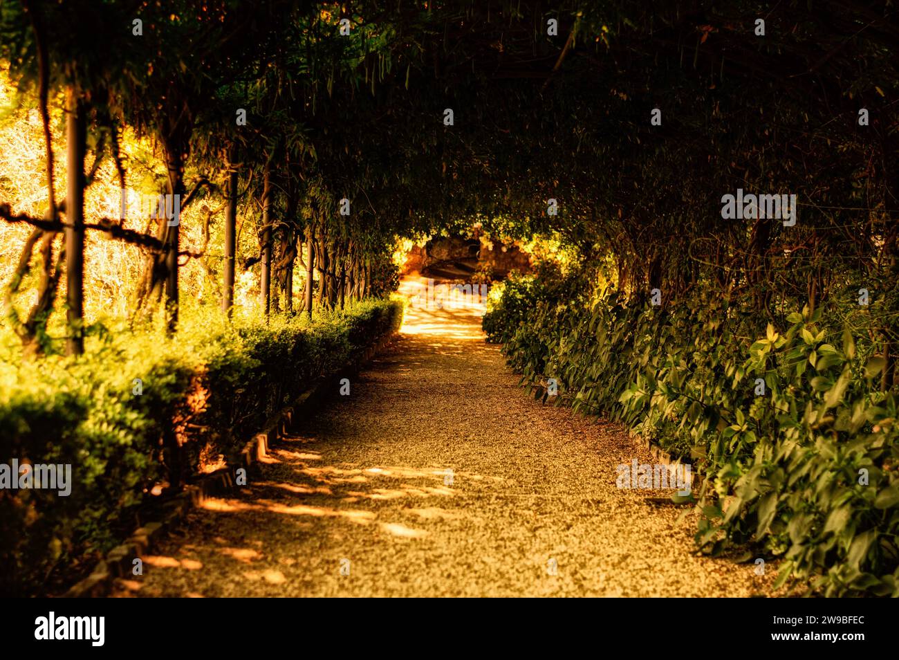 Alley surrounded by bushes and exotic plants. Travel and vacation concept. Mixed media Stock Photo