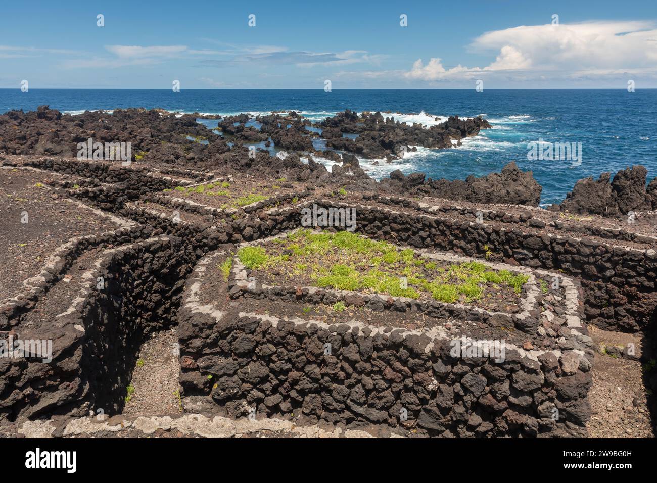 Trench on the coast of the azorean island Terceira near Biscoitos Stock ...