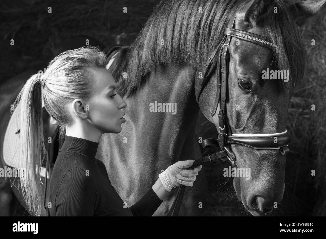 Stunning blonde posing with a thoroughbred horse. Ranch vacation concept. Mixed media Stock Photo