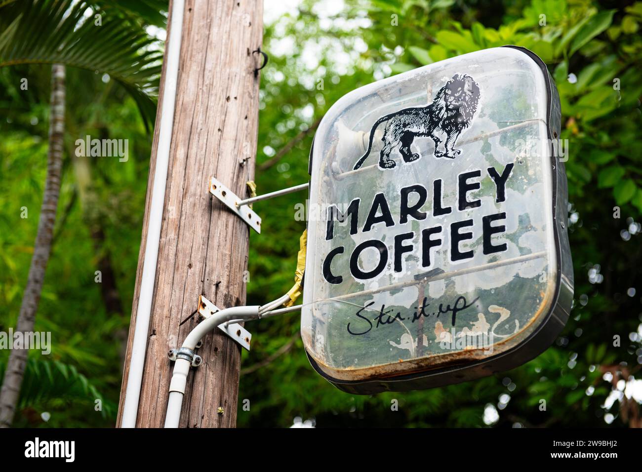 Cafe at the Bob Marley Museum, Kingston, Jamaica, Central America Stock