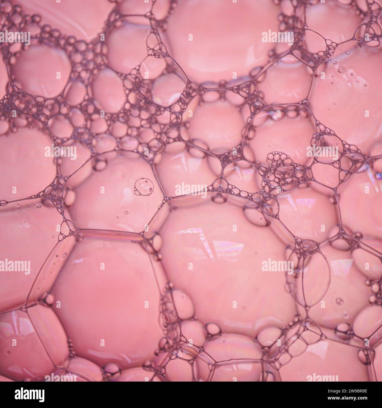 Pink bubbles background hi-res stock photography and images - Alamy