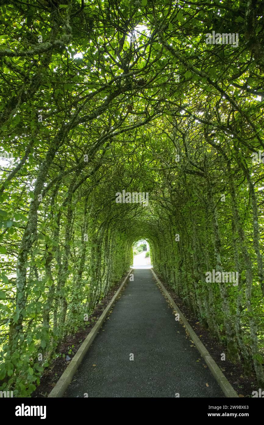 tree archway tunnel garden path Stock Photo