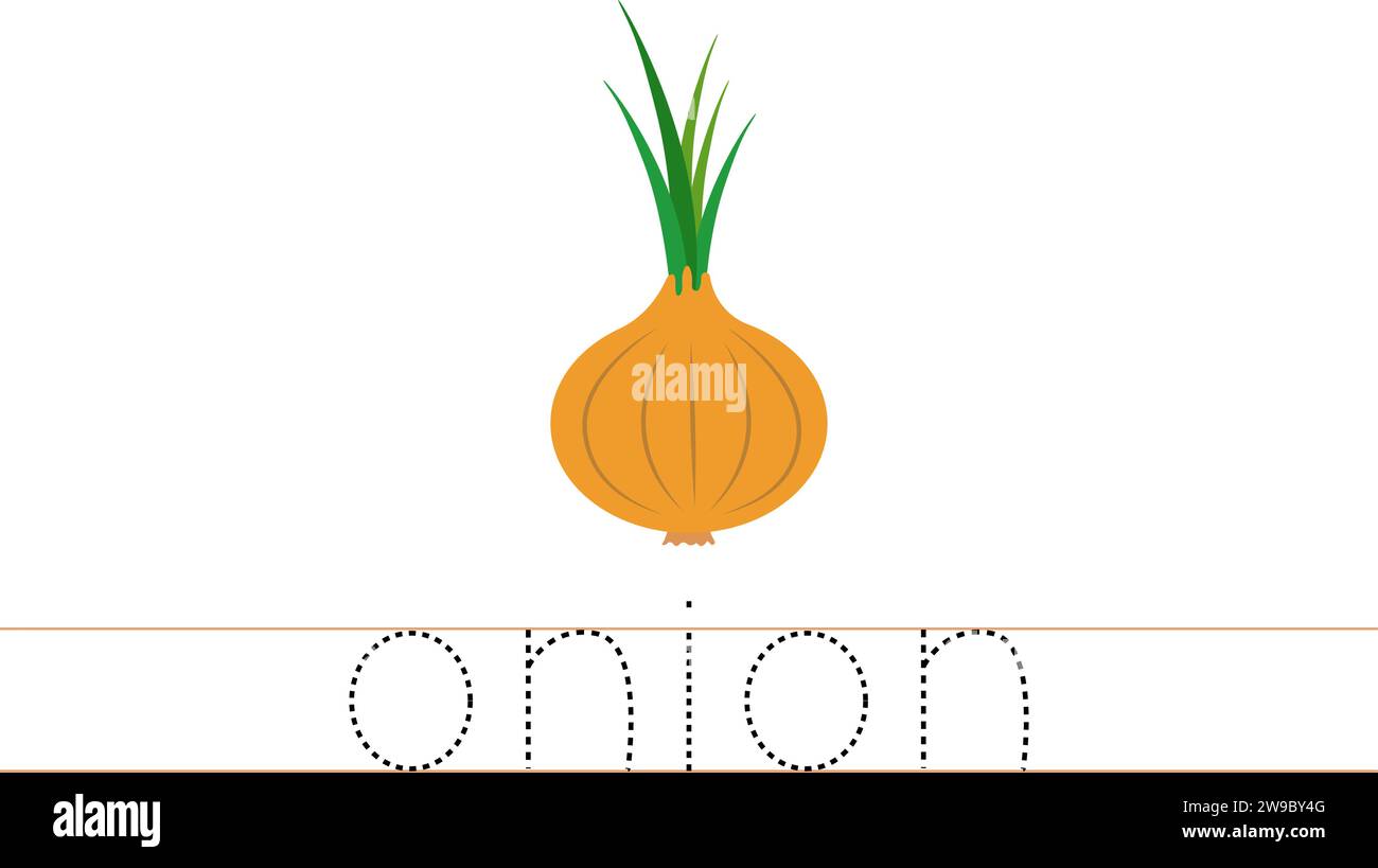 Trace word onion. English worksheet for kids. Cartoon colorful onion