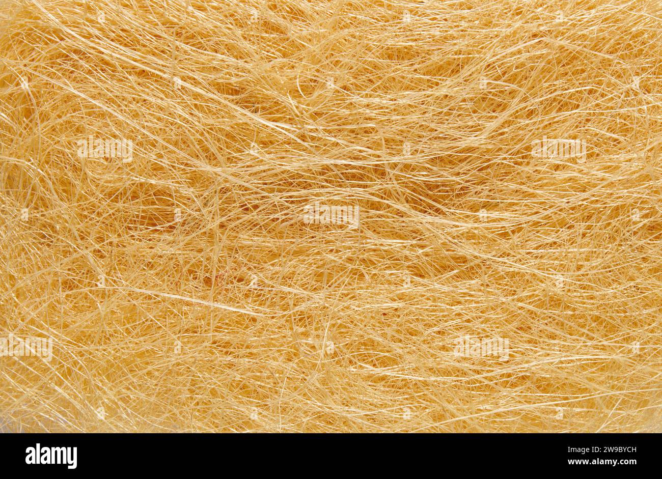 Closeup of abstract yellow fibers background representing the concept of complexity Stock Photo