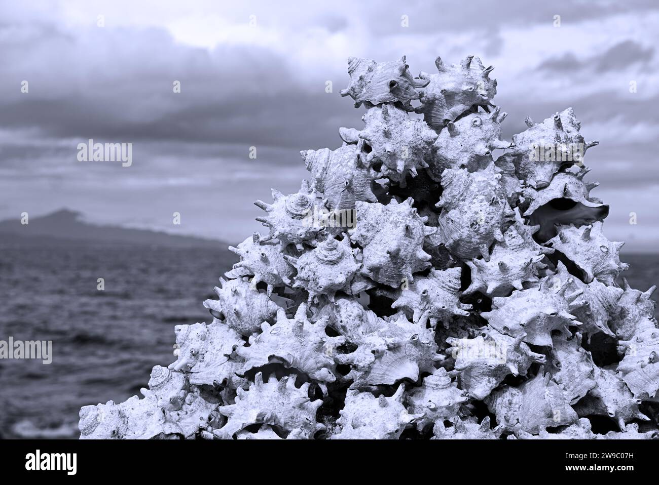 Pyramid shell hi-res stock photography and images - Alamy