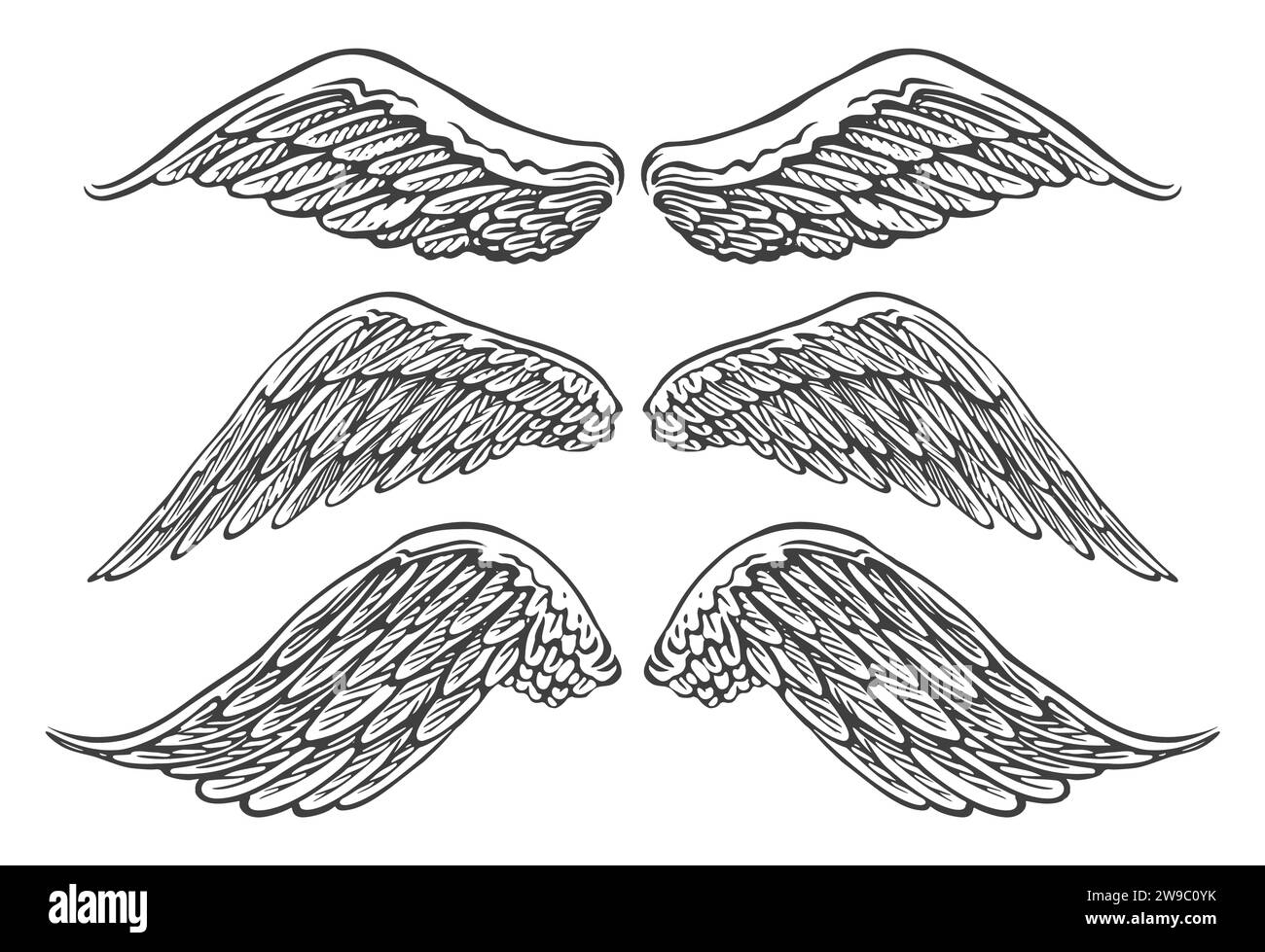 Wings of birds or angels of various shapes in an open position. Hand drawn sketch vintage vector illustration Stock Vector
