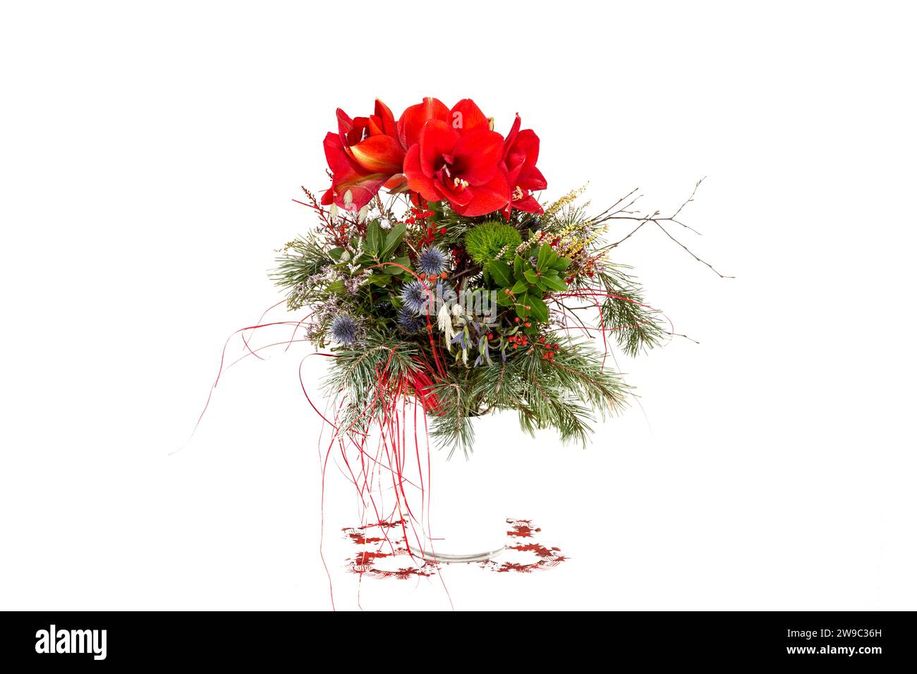 Christmas bouquet with amaryllis flowers in a white vase, background white Stock Photo
