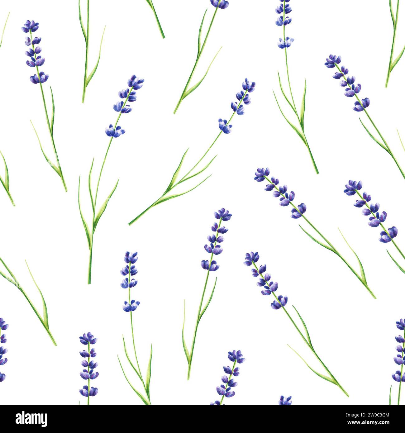 Watercolor seamless pattern with lavender illustration isolated on ...