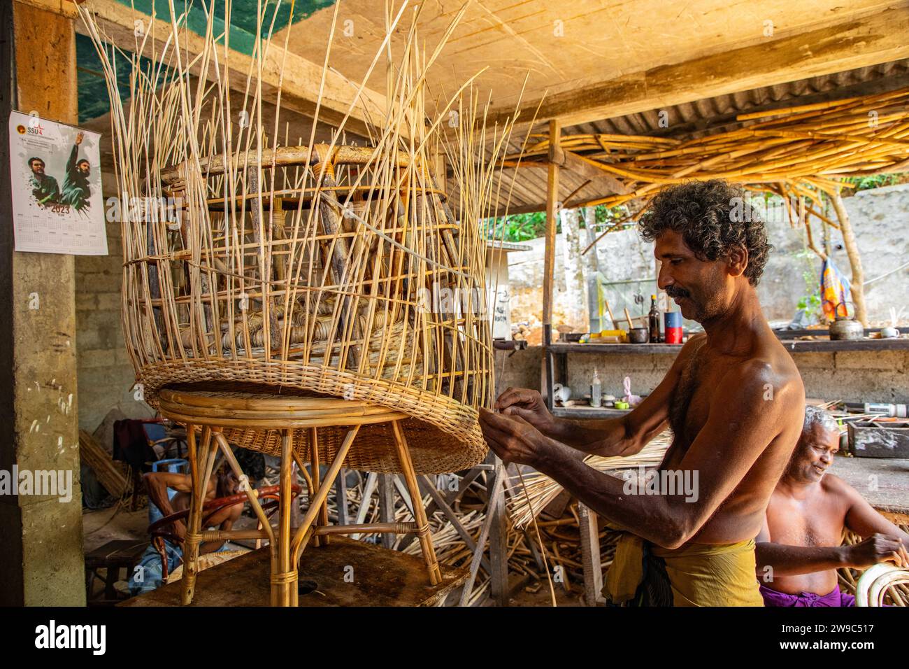 Warakapola, Sri Lanka. 10 february 2023. small rattan