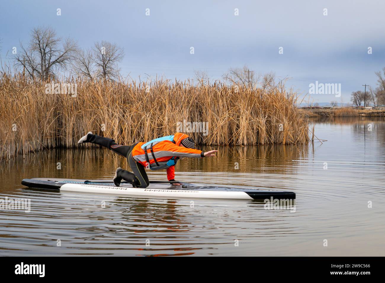 senior male stand up paddler is practicing yoga poses on his paddleboard on a lake in Colorado, winter or fall scenery Stock Photo