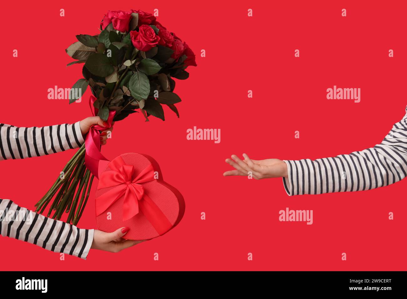 Female hands giving bouquet of roses and gift boxes to another person ...