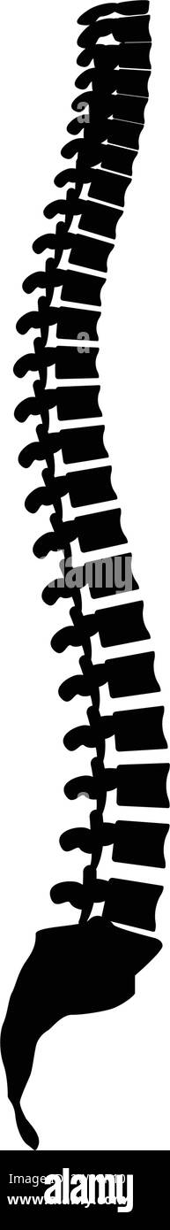 Spine icon,vector illustration logo template Stock Vector Image & Art ...