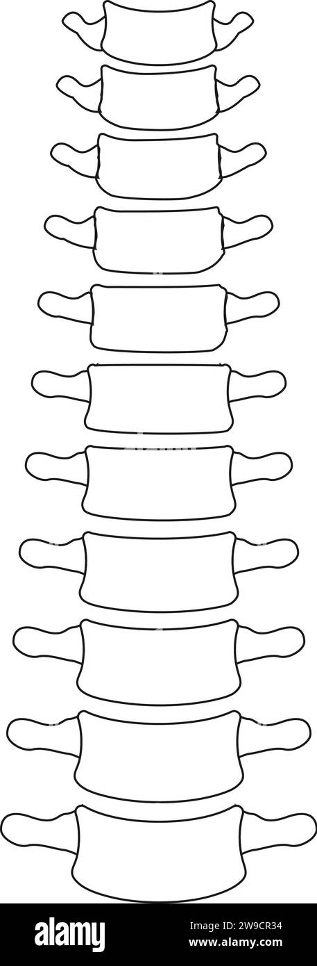Spine icon,vector illustration logo template Stock Vector