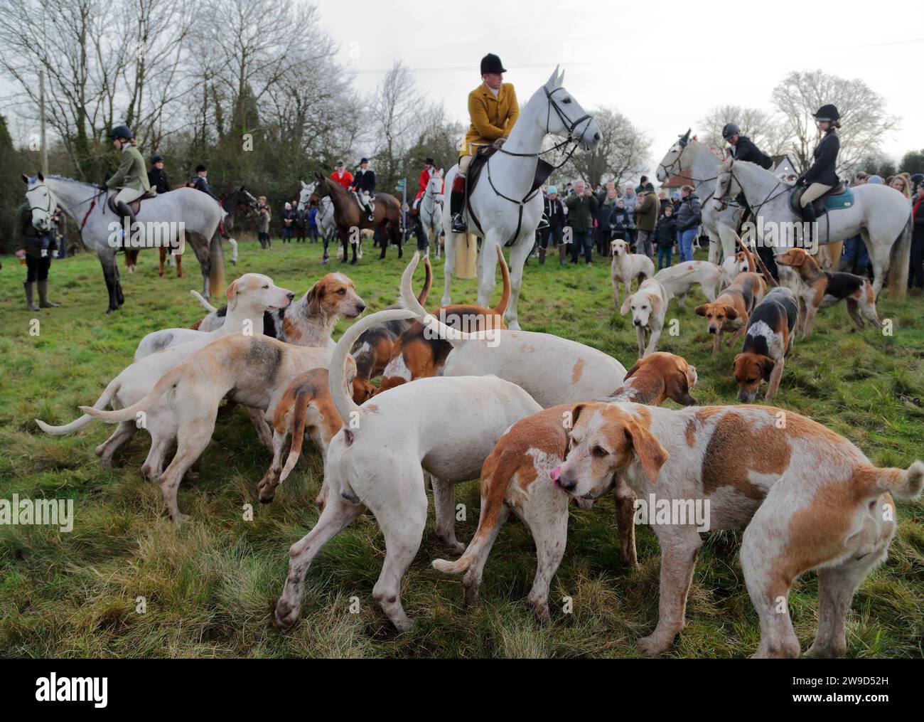Hawridge, Chesham, UK. 26th Dec, 2023. Riders and their hounds gather in a field before the annual hunt. Credit: Uwe Deffner/Alamy Live News Stock Photo