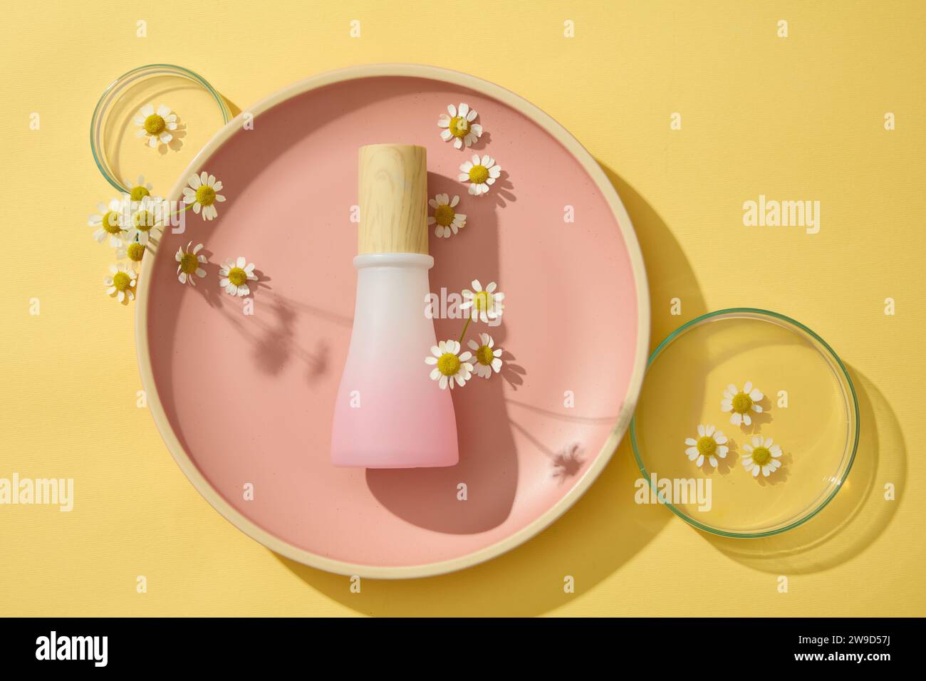 A pink glass bottle unbranded displayed on a round dishes with fresh chamomilla flowers and petri dishes on a yellow background. Herbs are widely used Stock Photo