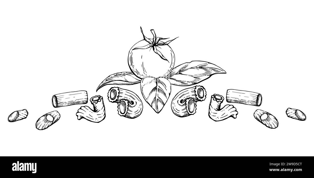 Hand drawn vector ink illustration. Pasta Italian cuisine, tomato basil ...