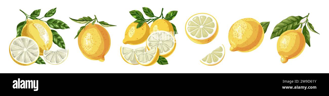 Hand drawn colorful lemons vector set isolated Stock Vector Image & Art ...