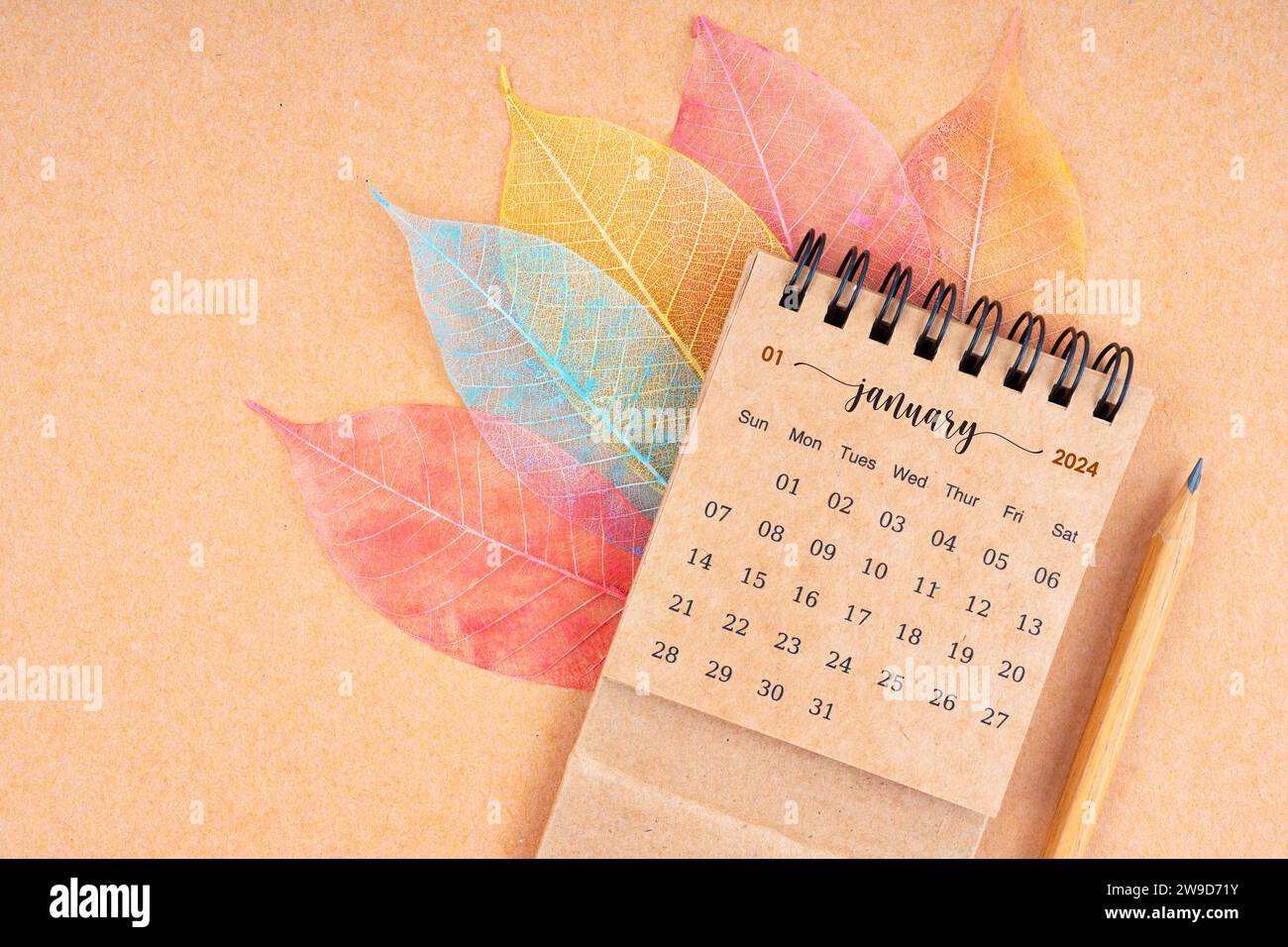 January 2024 monthly desk calendar and fiber structure of dry leaves ...