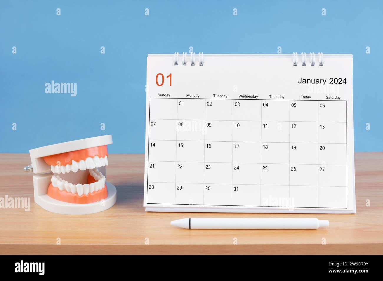 January monthly desk calendar for 2024 year and model dentures on the ...