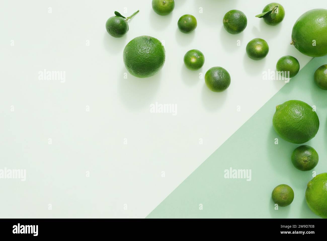 On the green background, green color of limes and kumquats are decorated. Creative background with blank space for design and copy space. Top view, fl Stock Photo
