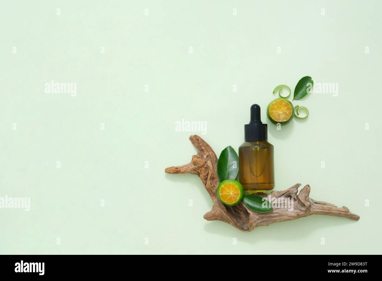 A product bottle mockup displayed with dry twig, kumquat slices and leaves on green background. Copy space for cosmetics, business branding and produc Stock Photo