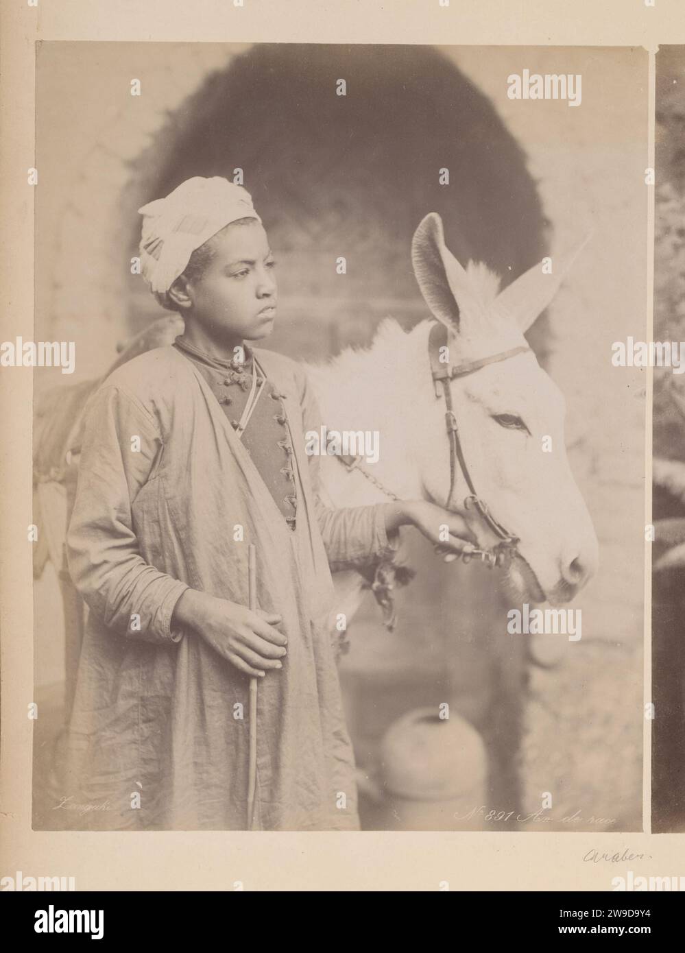 Portrait of an Arab boy with donkey, Egypt, 1890 - 1900 photograph This  photo is part of an album. Egypt photographic support. cardboard albumen  print historical persons. boy (child between toddler and
