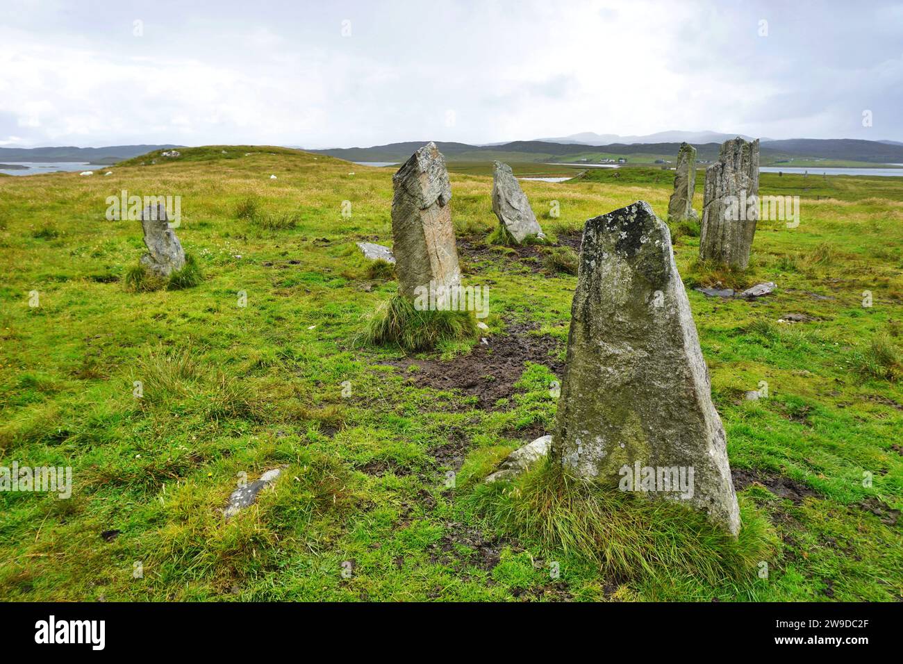 Ancient neolithic standing stones on Lewis Island, Outer Hebrides, Scotland. Part of the Callanish group, these stones are in the midst of a pasture Stock Photo