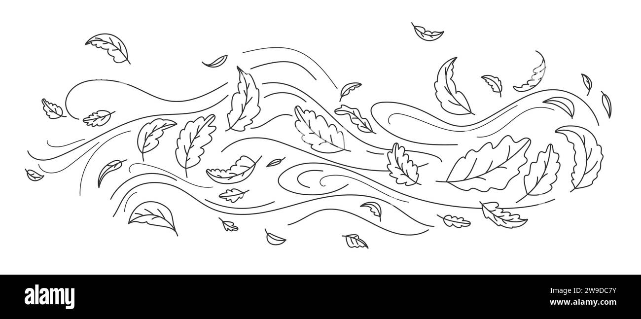 Doodle autumn leaves flying in the wind. Falling season outline backdrop, air flow leaves wave linear pattern or wind blowing doodle vector print. Autumn windy weather hand drawn monochrome background Stock Vector