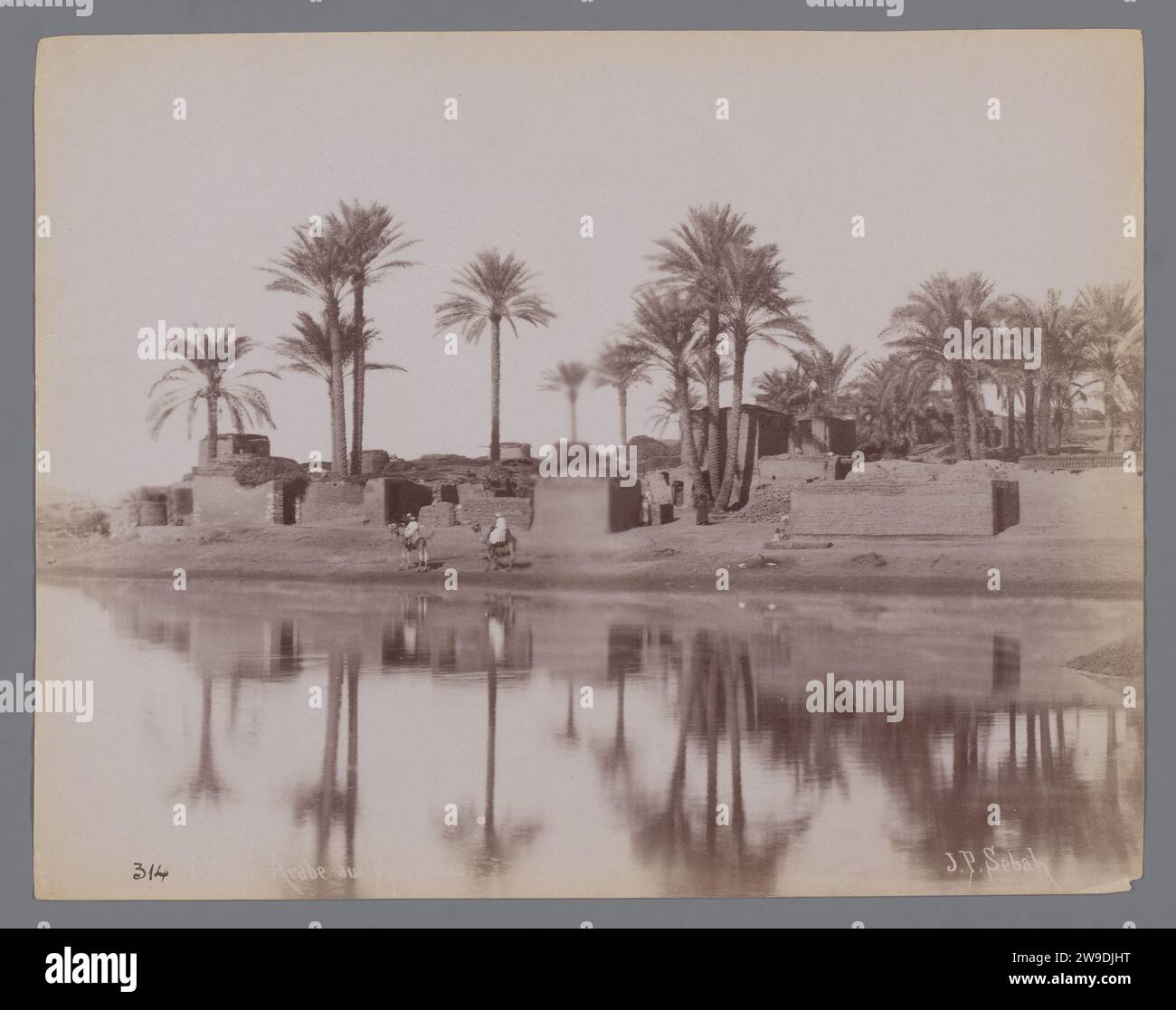 Vintage palm trees hi-res stock photography and images - Page 12 - Alamy, image size:1300x1116