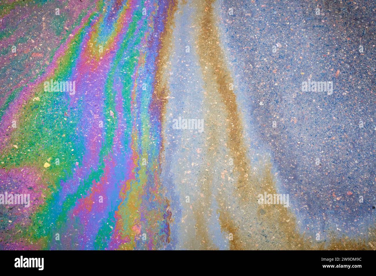 Multicolored poisonous spots of spilled gasoline on wet pavement