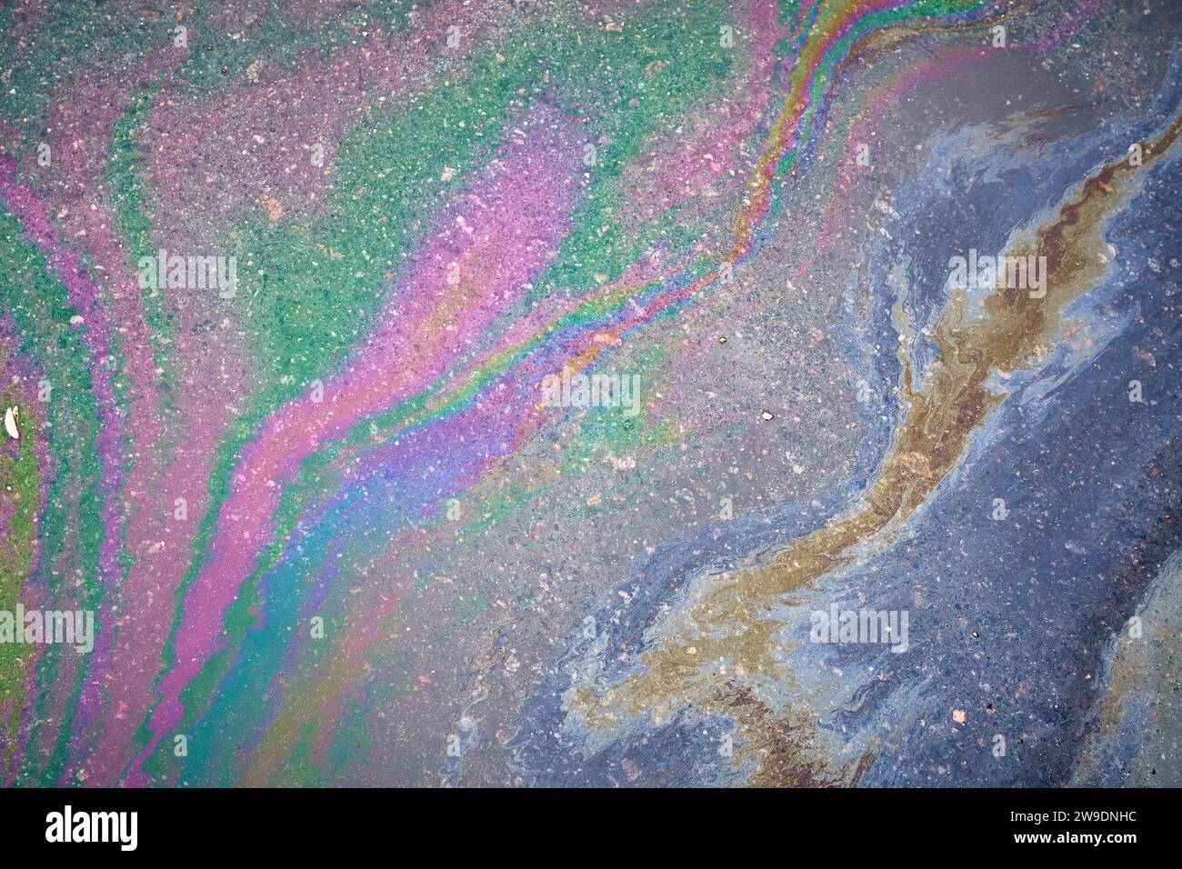 Multicolored poisonous spots of spilled gasoline on wet pavement