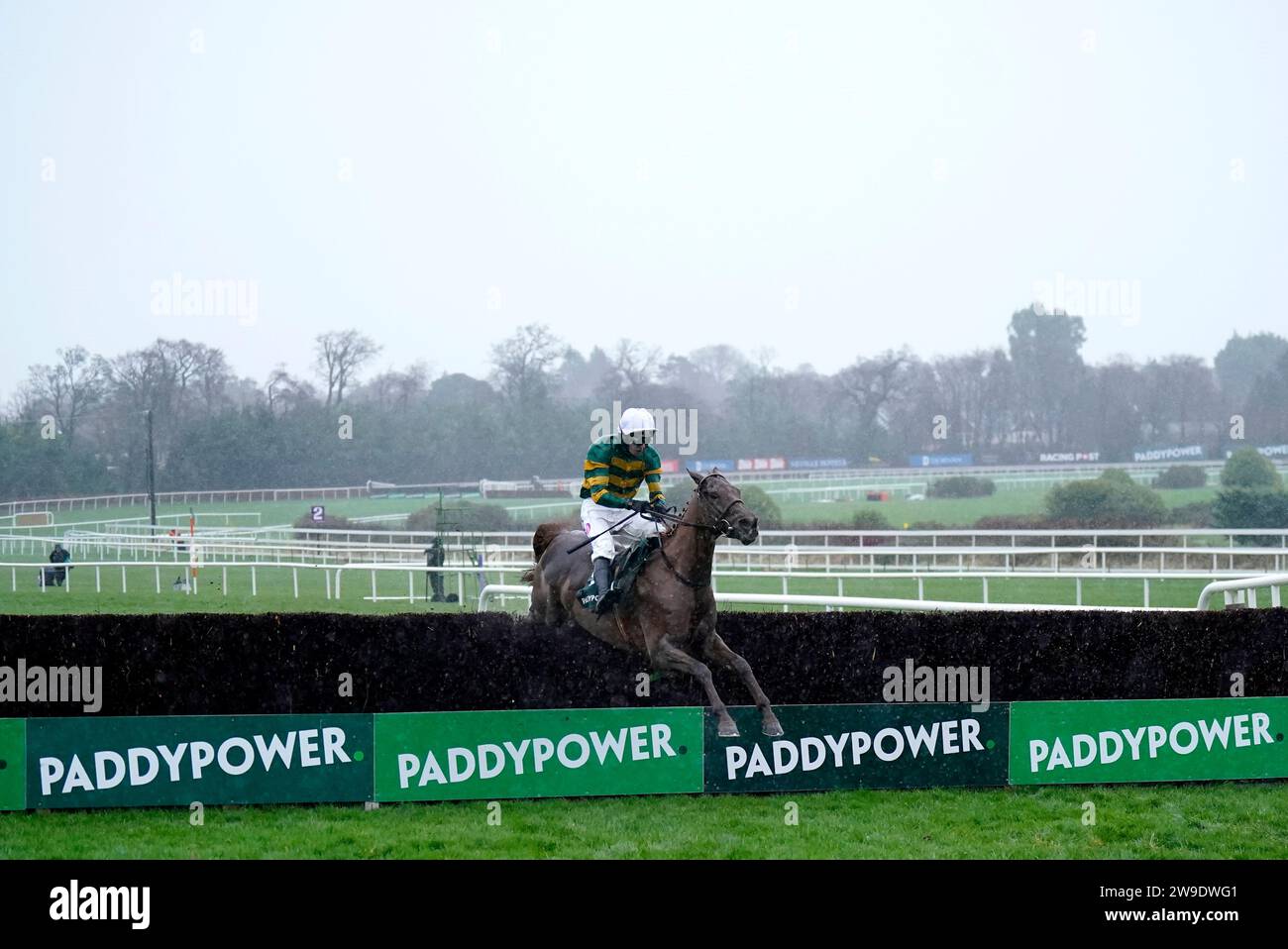 Dinoblue ridden by mark Walsh goes on to win The Paddy's Rewards Club Chase during day two of the Leopardstown Christmas Festival at Leopardstown Racecourse, Dublin. Picture date: Wednesday December 27, 2023. Stock Photo