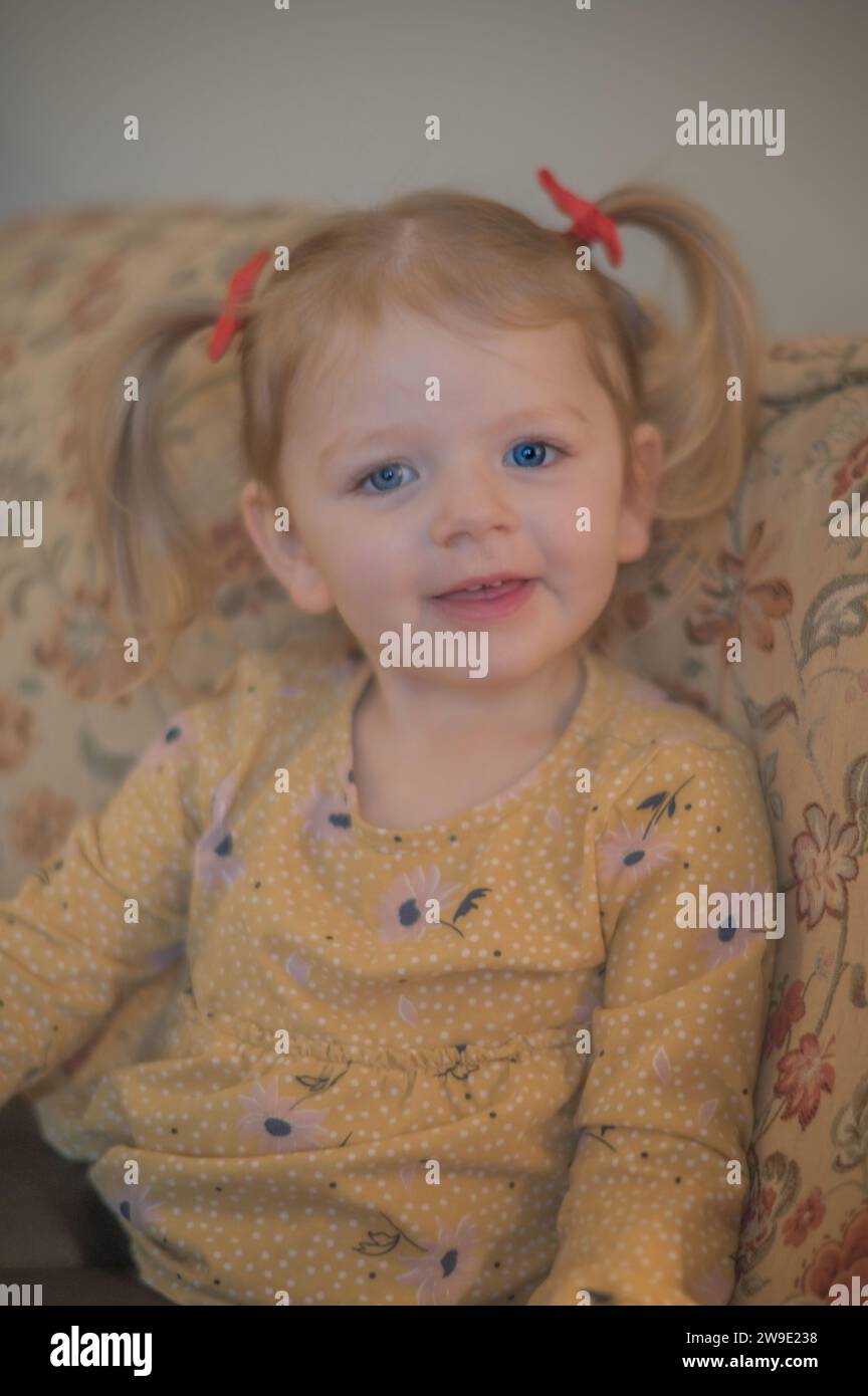 3 year old in pigtails Stock Photo Alamy