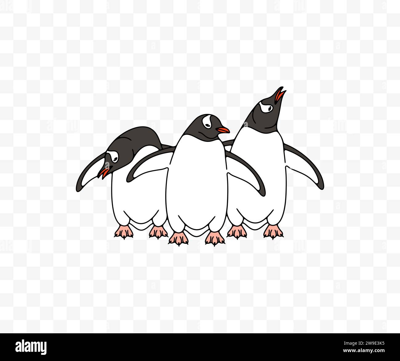 Subantarctic penguin or gentoo penguins, graphic design. Animal, bird