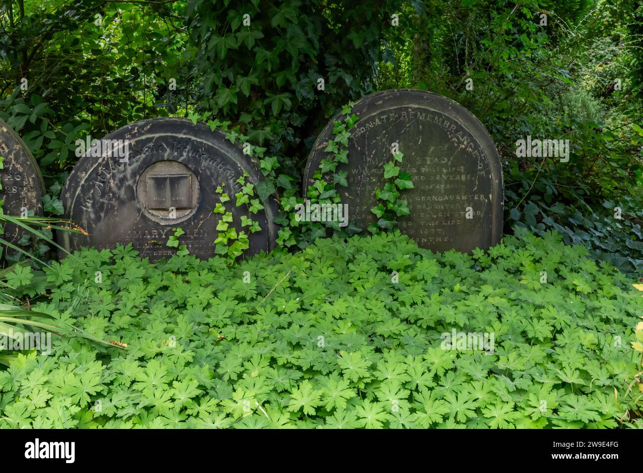 An overgrown graveyard in Baildon, Yorkshire Stock Photo - Alamy