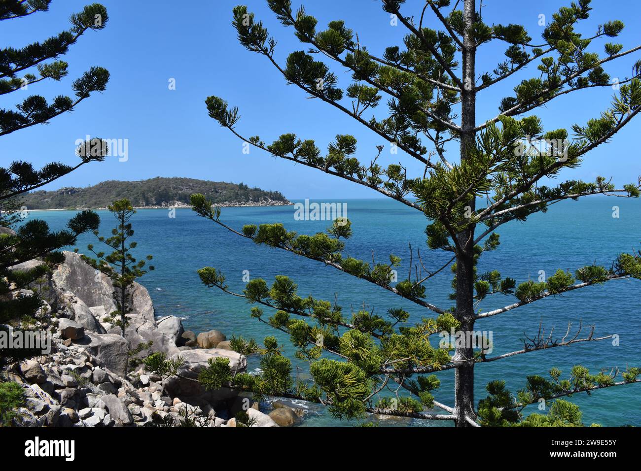 View over bay with granite boulders and Hoop pines in foreground, Geoffrey Bay, Magnetic Island, Queensland, Australia Stock Photo