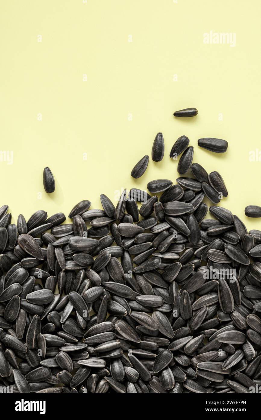 Unhulled black sunflower seeds on plain yellow background Stock Photo ...