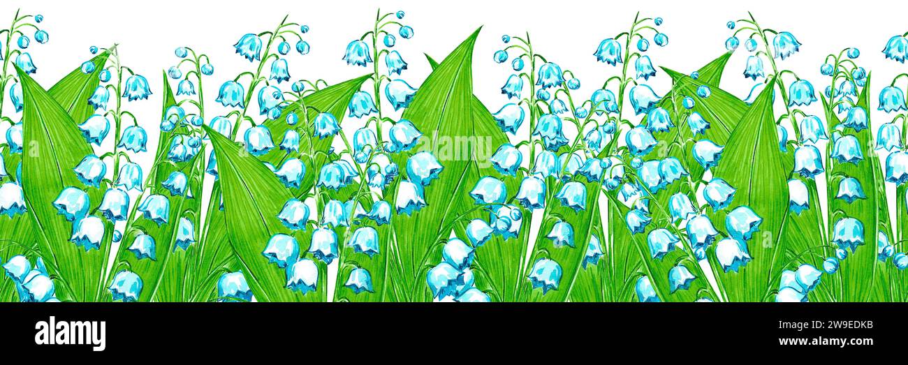 Hand drawn watercolor lily of the valley seamless border isolated on ...