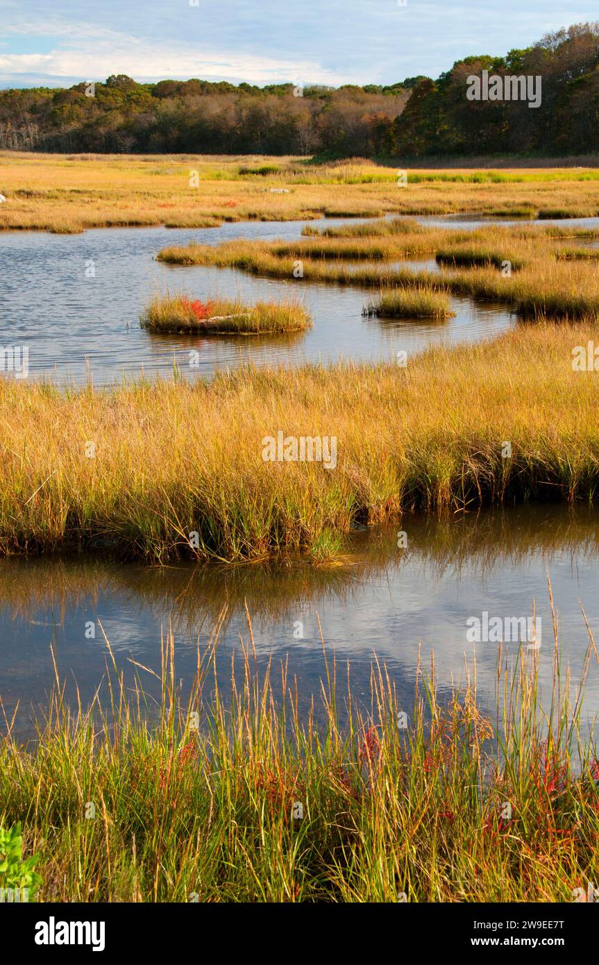 Salt water marsh, Barn Island Wildlife Management Area, Connecticut Stock Photo Alamy