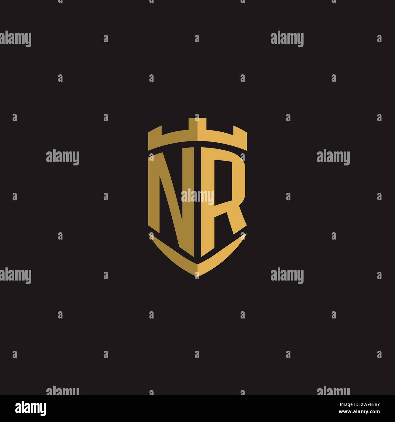 Initials NR logo monogram with shield style design vector graphic Stock Vector