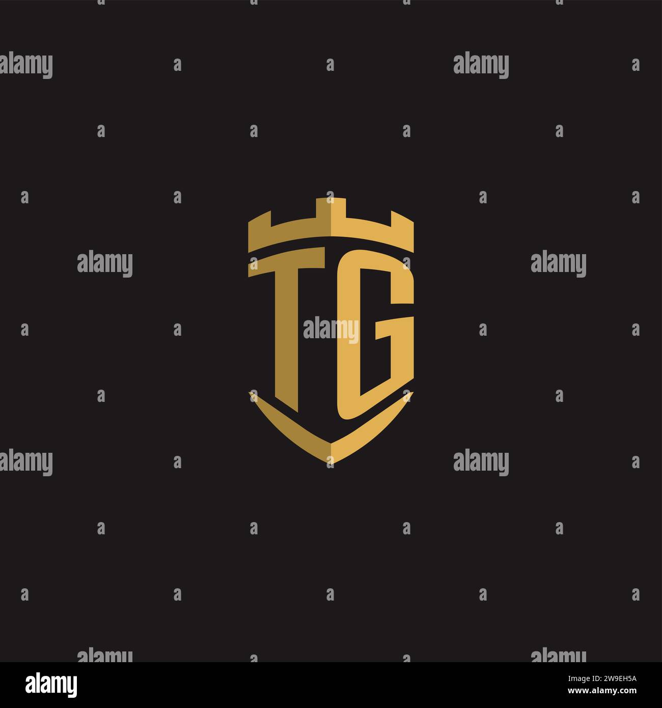Initials TG logo monogram with shield style design vector graphic Stock Vector