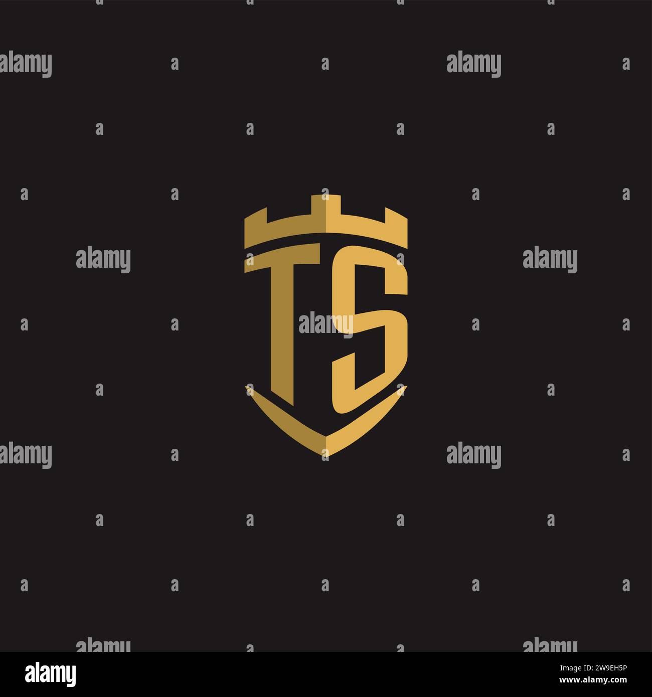 Initials TS logo monogram with shield style design vector graphic Stock Vector