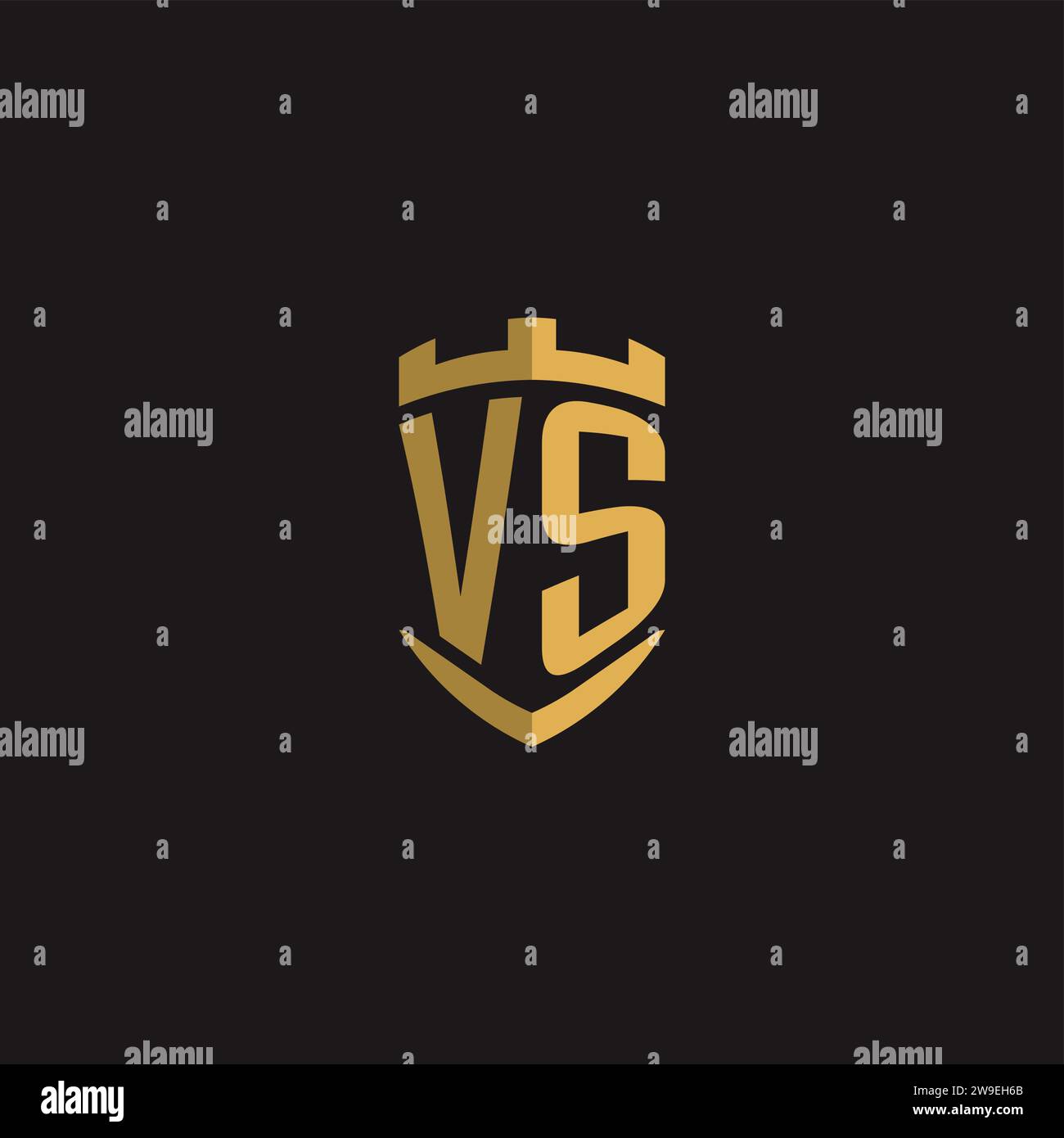 Initials VS logo monogram with shield style design vector graphic Stock Vector