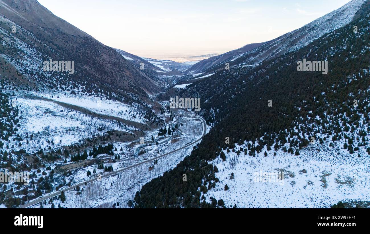 Aerial view of snow capped mountains and fir trees in the Ala-Archa ...