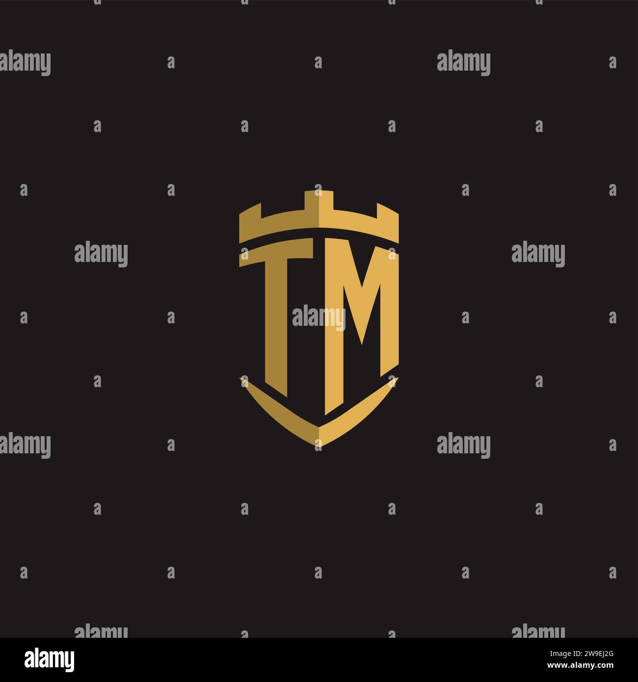 Initials TM logo monogram with shield style design vector graphic Stock Vector