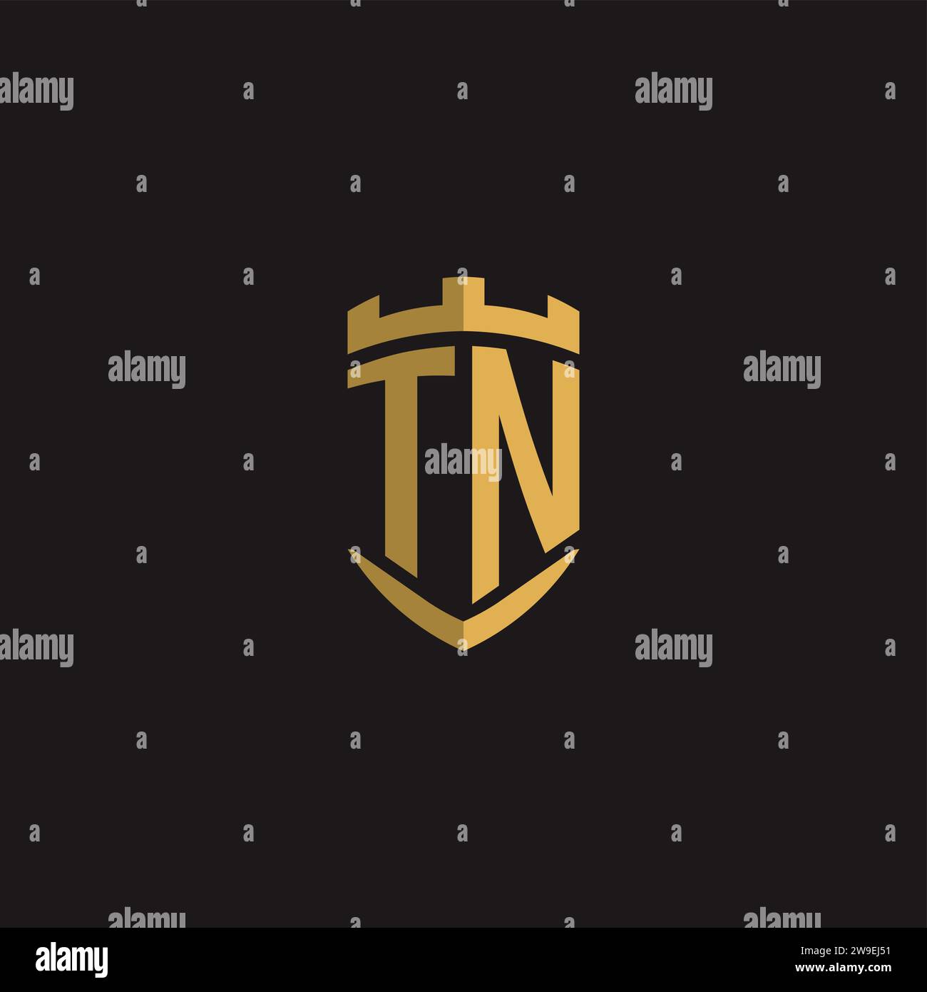 Initials TN logo monogram with shield style design vector graphic Stock Vector