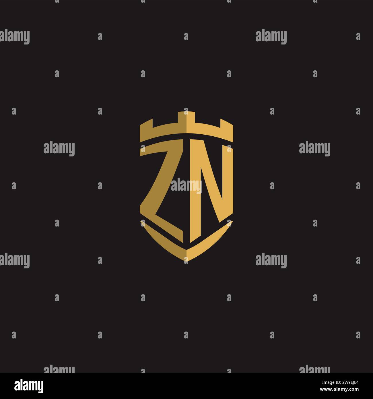 Initials ZN logo monogram with shield style design vector graphic Stock Vector